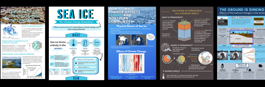 collage showing five infographics about the arctic 