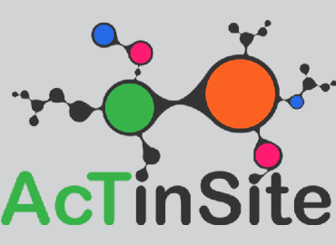 Logo for Act In Site - a series of circles in a network 